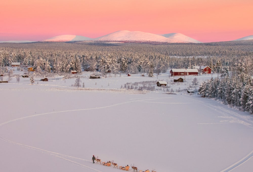 Torassieppi Lodge Rentiere